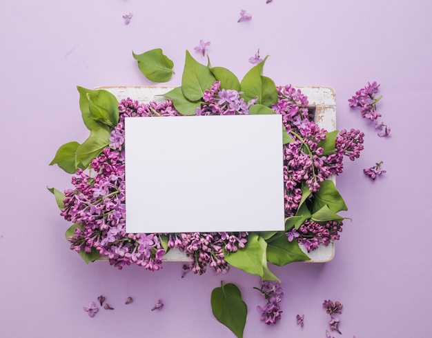 frame with lilac flowers on purple background