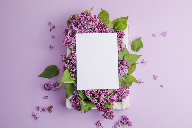 frame with lilac flowers on purple background