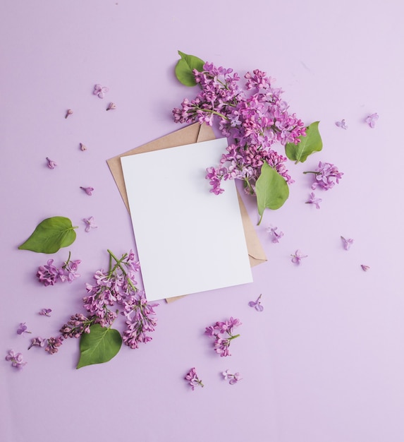 Bordr of purple lilac flowers and white frame for text and invitation. Top view Stock Photo - Alamy