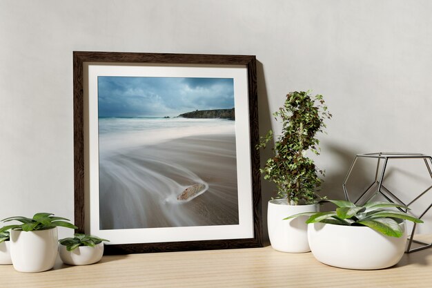 Frame with plants on shelf