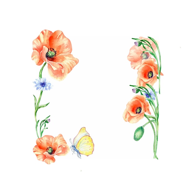 Frame with poppies meadow flowers and butterfly watercolor illustration isolated