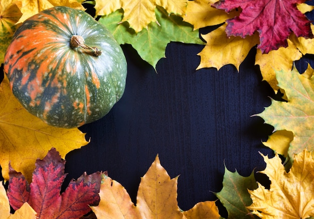 Frame with pumpkin and maple leaves