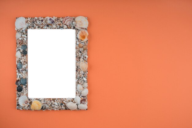 Frame with seashells, summer vacation concept on orange background