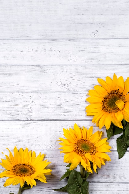 frame with sunflowers