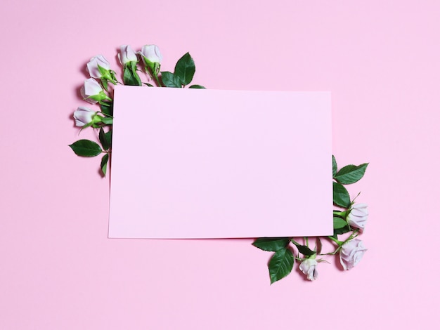 A frame with white flowers roses on the pink background