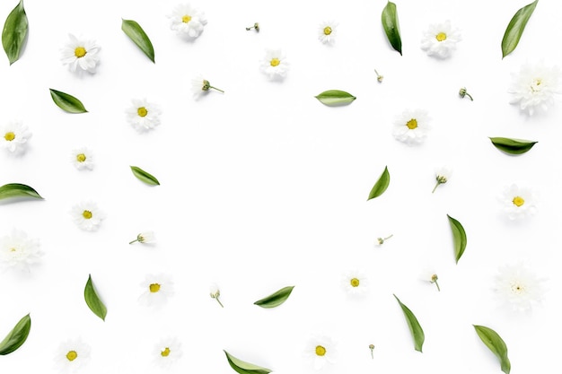 写真 緑の葉と白いbackgrで分離されたカモミール菊の水仙とフレームワークスペース