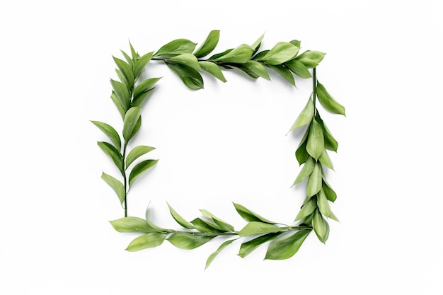 frame workspace with green leaves and branches isolated on white background lay flat top view