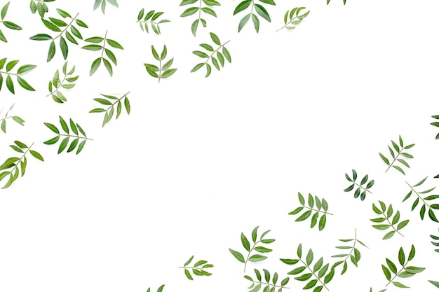 Frame workspace with green leaves isolated on white background lay flat top view