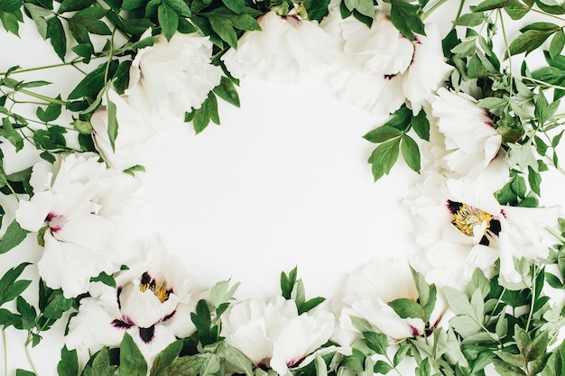 Frame wreath of white peony flowers bouquet on white surface
