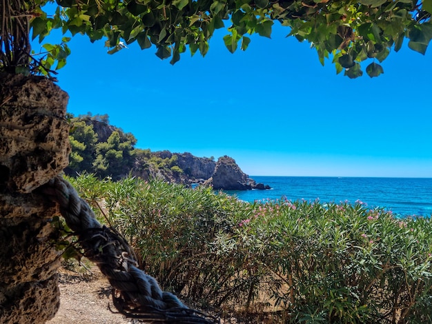 Framed landscape of the cala del canuelo in maro