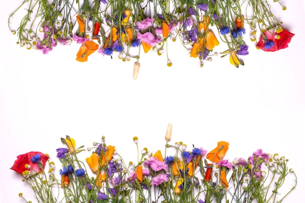 Framerand van delicate bloemen Lente geel paars roze bloemen op witte achtergrond