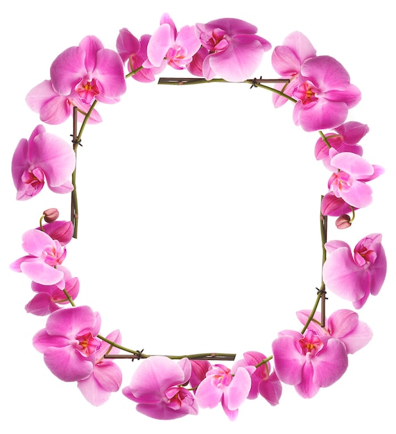 Photo framework from pink flowers on a white background