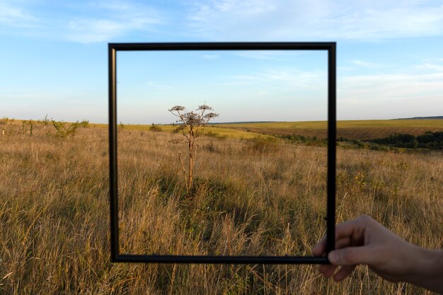 Photo framing landscape while traveling