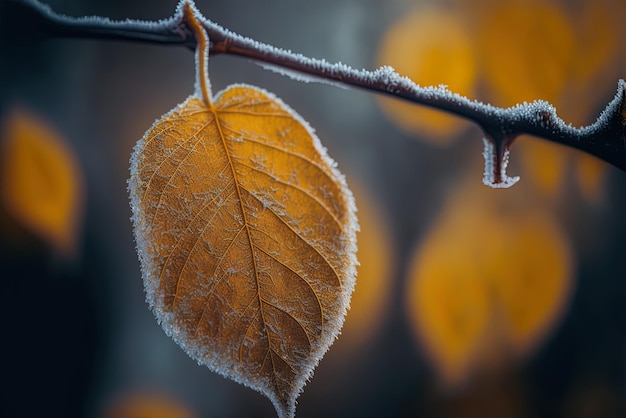Оформление одного золотого осеннего листа на замороженной ветке с помощью селективной фокусировки камеры