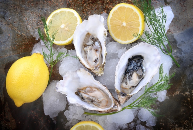 France oysters open and set with ice and lemon