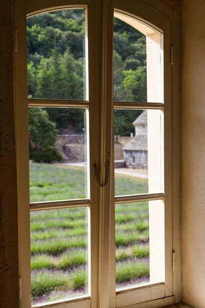 France, Provence Region, Senanque Abbey. Lavander field in summer season.