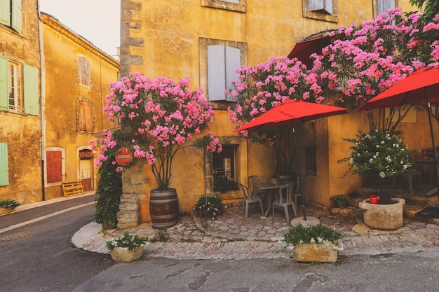Франция Улица Прованс, старинные дома с зелеными растениями и цветущими цветами
