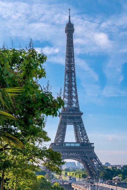 Francia. mattina di sole estivo a parigi. torre eiffel e alberi verdi