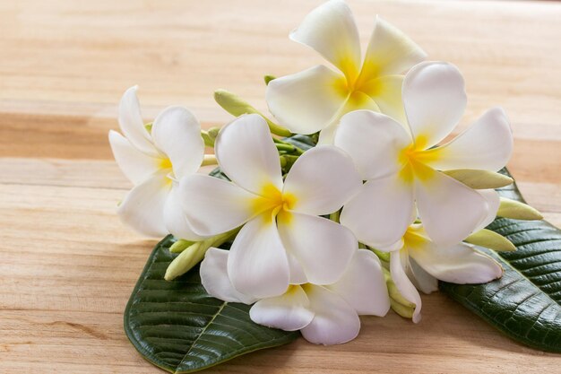 Frangipani flower on wooden table