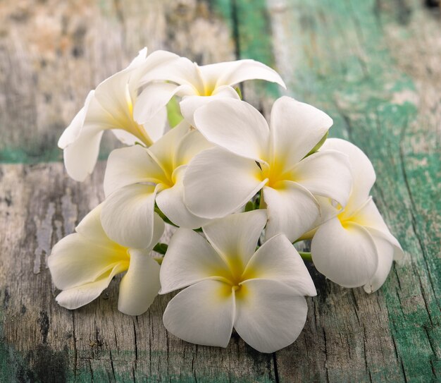 Frangipani flower on wooden