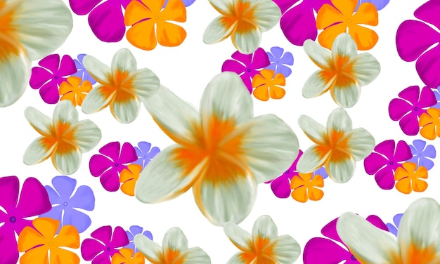 Frangipani plumeria flower and colorful tropical flower background