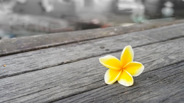 frangipanibloemen gedecoreerd op een houten plank in zen-stijl voor een spa-meditatieomgeving