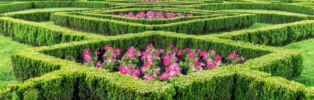 Foto frans traditioneel tuinpatroon met geometrische vormen