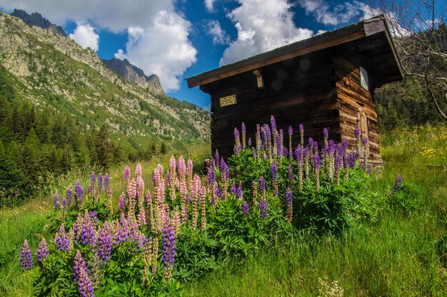 Franse alpen landschap