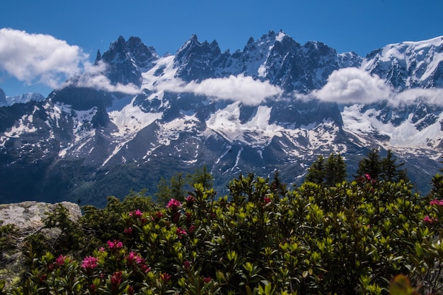 Franse alpen landschap