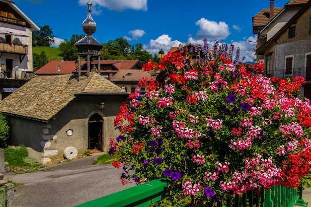 Franse alpen landschap