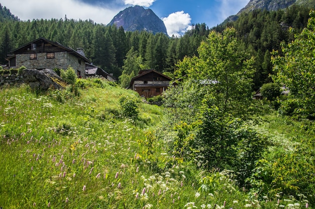 Franse alpen landschap