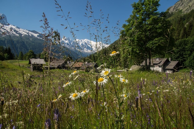 Franse alpen landschap