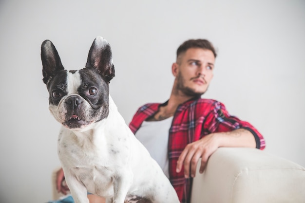 Franse Bulldog-hond zittend op een bank met zijn vriend