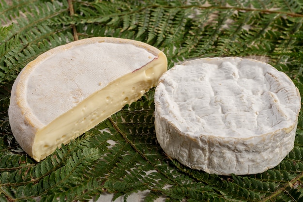 Franse kazen Reblochon en Camembert