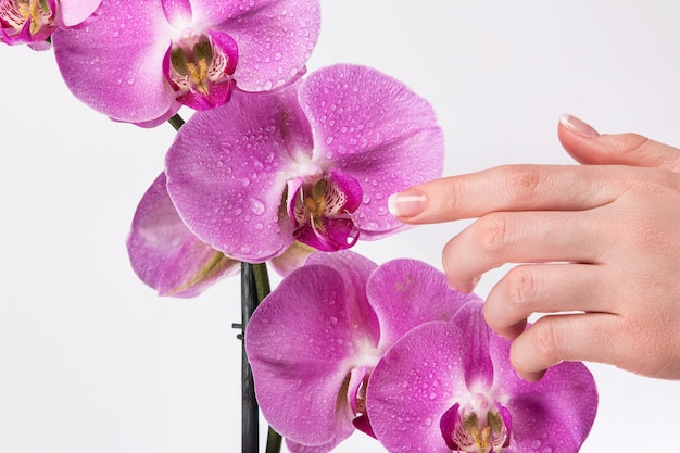 Franse manicure en orchideebloem