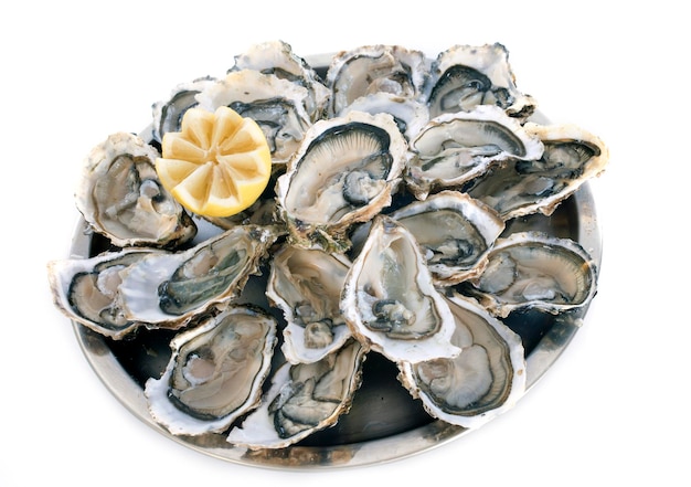 Franse oesters voor witte achtergrond
