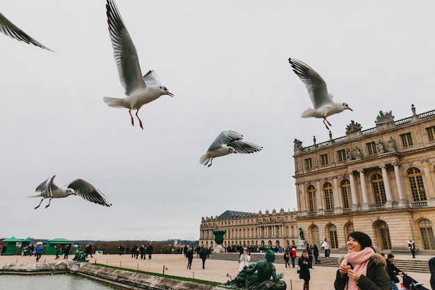 Franse stad Versailles Paleis en museum van Versailles