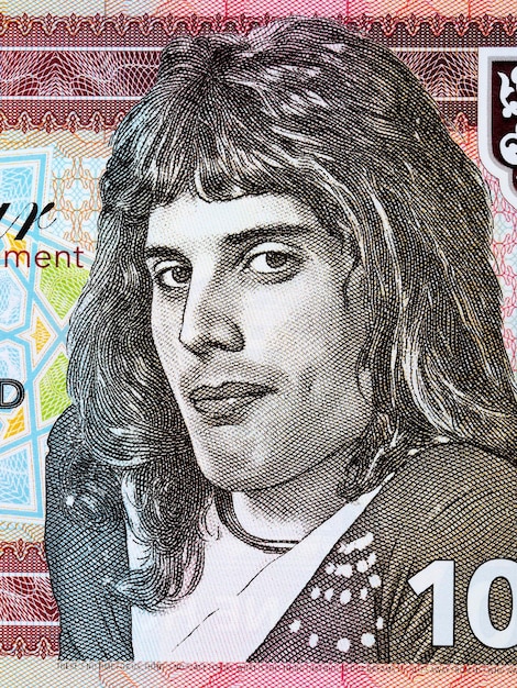 Freddie Mercury a portrait from money