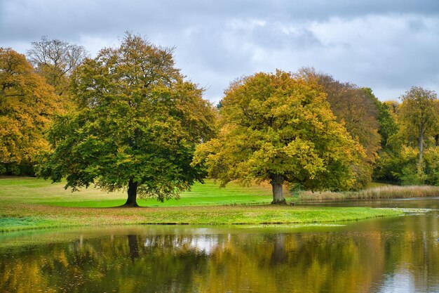 Frederiksborg Castle Park met machtige loofbomen weerspiegeld in het aangelegde meer