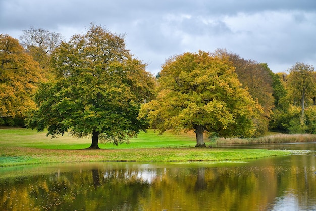 Замковый парк Фредериксборг с могучими лиственными деревьями, отражающимися в созданном озере