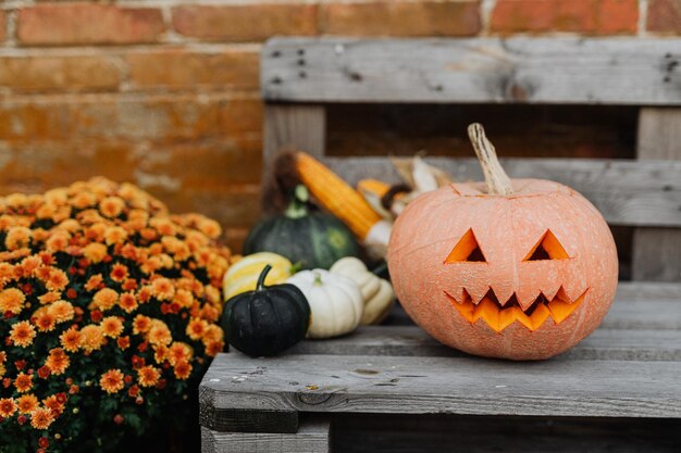 Free halloween pumpkins on wooden bench in front of a brick wall