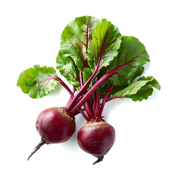 free photo bio radish set on white background