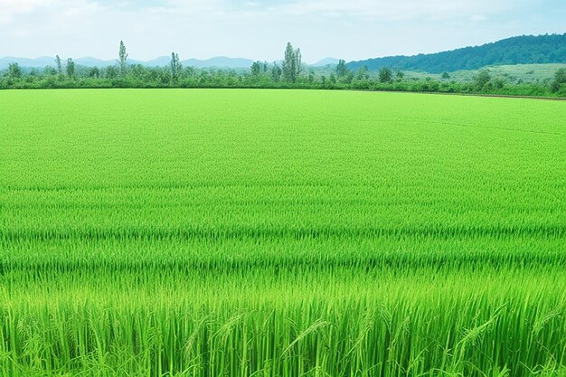 Free photo green field tree and blue skygreat as a backgroundweb banner generative ai