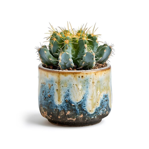 Photo free photo of small barrel cactus in clay pot