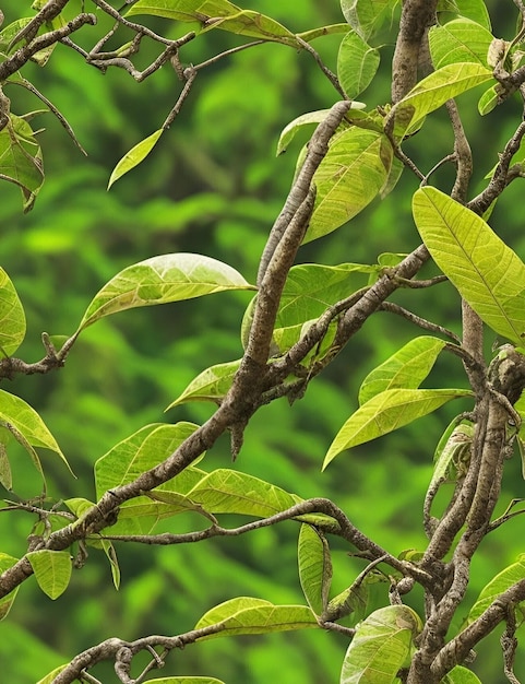 Free photo tree branches with green leaves wallpaper