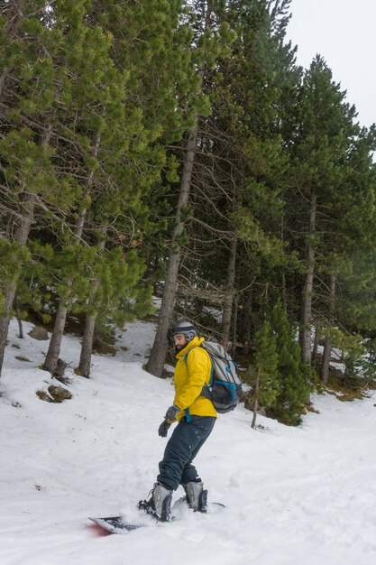 Free rider enjoying the snow