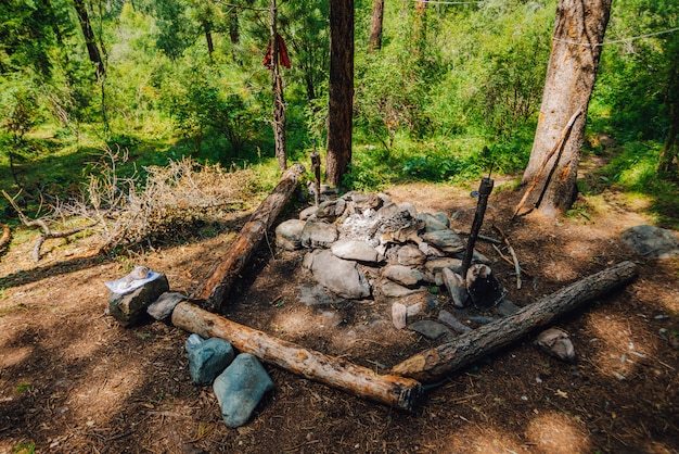 Free space for camping with bonfire with stones, woods, and benches of logs in wild forest. 