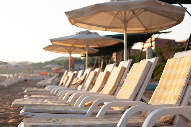 Free sun loungers and sunbeds on the beach. bright soft photo