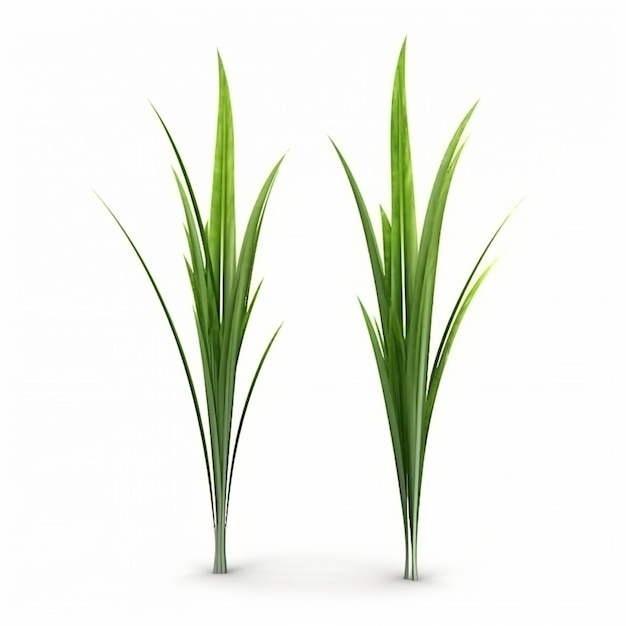 Free vector plant stems for front plan nature illustration isolated green