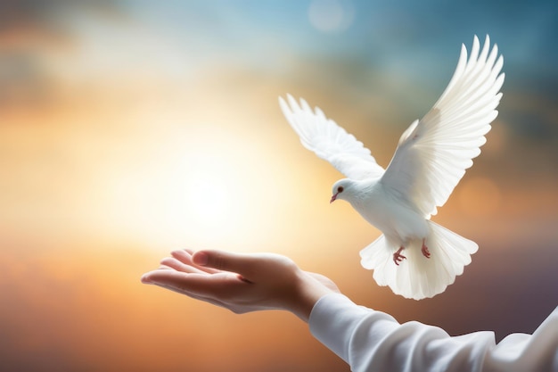 자유의  ⁇ 블럼 자유와 평화의 강력한 상징인 비둘기를 하늘로 내보내는 손